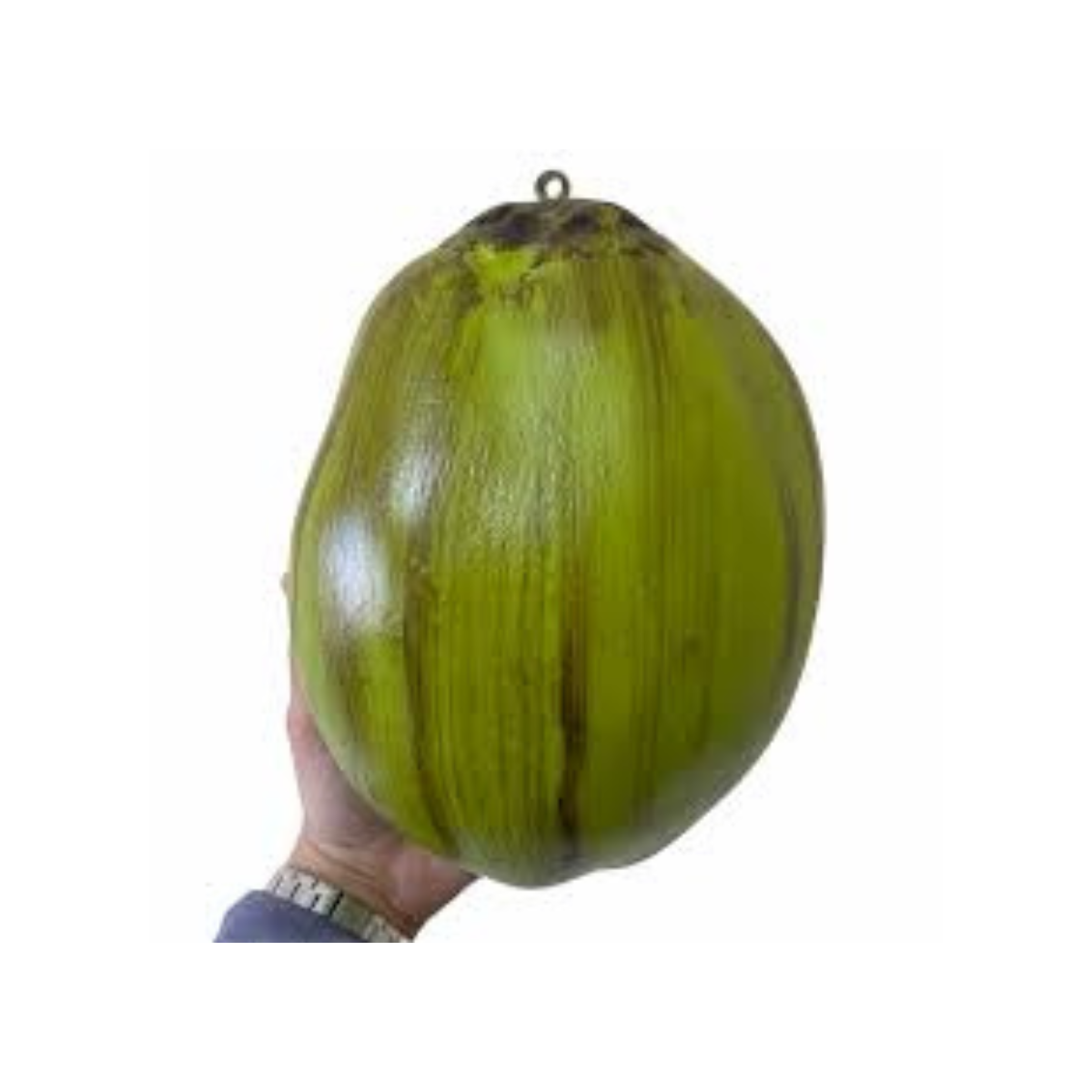 Coco Artificial de Plástico - Decoração Tropical