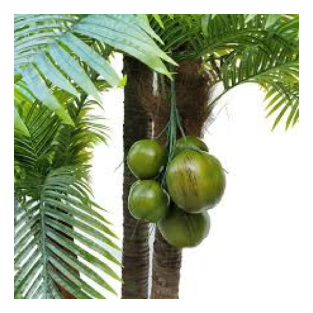 Coco Artificial de Plástico - Decoração Tropical