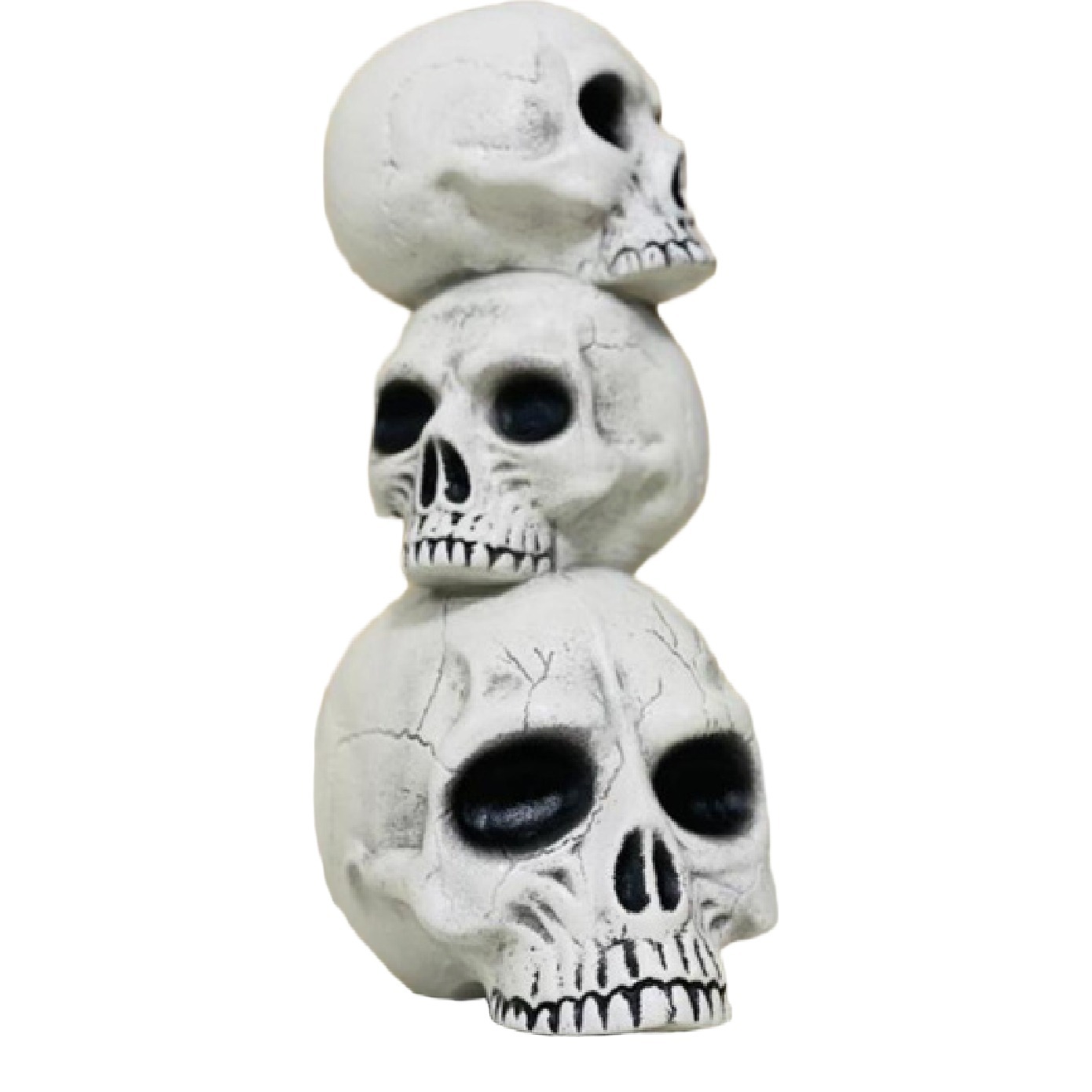 Trio de Crânio